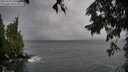 ./images/koeye/fitz-hugh/20250920/fitz-hugh20250920_120502M.jpg