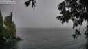 ./images/koeye/fitz-hugh/20250920/fitz-hugh20250920_125501M.jpg