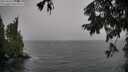 ./images/koeye/fitz-hugh/20250920/fitz-hugh20250920_130501M.jpg