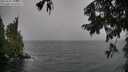 ./images/koeye/fitz-hugh/20250920/fitz-hugh20250920_131001M.jpg