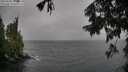 ./images/koeye/fitz-hugh/20250920/fitz-hugh20250920_135002M.jpg