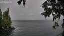 ./images/koeye/fitz-hugh/20250920/fitz-hugh20250920_135501M.jpg
