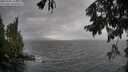 ./images/koeye/fitz-hugh/20250920/fitz-hugh20250920_144001M.jpg