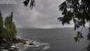 ./images/koeye/fitz-hugh/20250920/fitz-hugh20250920_154502M.jpg