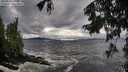 ./images/koeye/fitz-hugh/20250920/fitz-hugh20250920_162501M.jpg