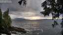 ./images/koeye/fitz-hugh/20250920/fitz-hugh20250920_182002M.jpg