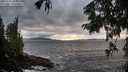 ./images/koeye/fitz-hugh/20250920/fitz-hugh20250920_183001M.jpg
