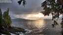 ./images/koeye/fitz-hugh/20250920/fitz-hugh20250920_185001M.jpg