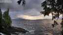 ./images/koeye/fitz-hugh/20250920/fitz-hugh20250920_185501M.jpg
