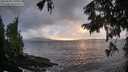 ./images/koeye/fitz-hugh/20250920/fitz-hugh20250920_190502M.jpg