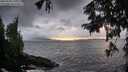 ./images/koeye/fitz-hugh/20250920/fitz-hugh20250920_191001M.jpg