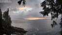 ./images/koeye/fitz-hugh/20250920/fitz-hugh20250920_191501M.jpg