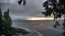 ./images/koeye/fitz-hugh/20250920/fitz-hugh20250920_194001M.jpg
