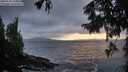 ./images/koeye/fitz-hugh/20250920/fitz-hugh20250920_194501M.jpg