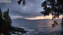 ./images/koeye/fitz-hugh/20250920/fitz-hugh20250920_195001M.jpg