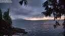 ./images/koeye/fitz-hugh/20250920/fitz-hugh20250920_195501M.jpg