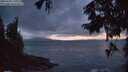 ./images/koeye/fitz-hugh/20250920/fitz-hugh20250920_200001M.jpg