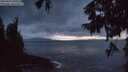 ./images/koeye/fitz-hugh/20250920/fitz-hugh20250920_200501M.jpg