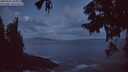 ./images/koeye/fitz-hugh/20250921/fitz-hugh20250921_064001M.jpg