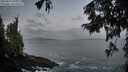 ./images/koeye/fitz-hugh/20250921/fitz-hugh20250921_070501M.jpg