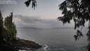 ./images/koeye/fitz-hugh/20250921/fitz-hugh20250921_071001M.jpg