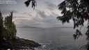 ./images/koeye/fitz-hugh/20250921/fitz-hugh20250921_071501M.jpg