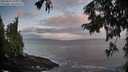 ./images/koeye/fitz-hugh/20250921/fitz-hugh20250921_073001M.jpg