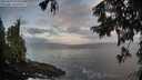 ./images/koeye/fitz-hugh/20250921/fitz-hugh20250921_073501M.jpg
