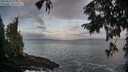 ./images/koeye/fitz-hugh/20250921/fitz-hugh20250921_074001M.jpg