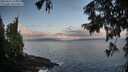 ./images/koeye/fitz-hugh/20250921/fitz-hugh20250921_075001M.jpg