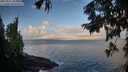 ./images/koeye/fitz-hugh/20250921/fitz-hugh20250921_081002M.jpg
