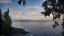./images/koeye/fitz-hugh/20250921/fitz-hugh20250921_081501M.jpg