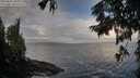 ./images/koeye/fitz-hugh/20250921/fitz-hugh20250921_084501M.jpg