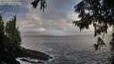 ./images/koeye/fitz-hugh/20250921/fitz-hugh20250921_085002M.jpg
