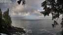 ./images/koeye/fitz-hugh/20250921/fitz-hugh20250921_085501M.jpg