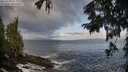 ./images/koeye/fitz-hugh/20250921/fitz-hugh20250921_091502M.jpg