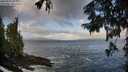 ./images/koeye/fitz-hugh/20250921/fitz-hugh20250921_092501M.jpg
