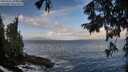 ./images/koeye/fitz-hugh/20250921/fitz-hugh20250921_093001M.jpg