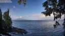 ./images/koeye/fitz-hugh/20250921/fitz-hugh20250921_094001M.jpg