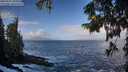 ./images/koeye/fitz-hugh/20250921/fitz-hugh20250921_094501M.jpg