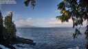 ./images/koeye/fitz-hugh/20250921/fitz-hugh20250921_095001M.jpg