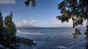 ./images/koeye/fitz-hugh/20250921/fitz-hugh20250921_100001M.jpg