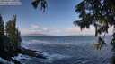 ./images/koeye/fitz-hugh/20250921/fitz-hugh20250921_100501M.jpg