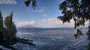 ./images/koeye/fitz-hugh/20250921/fitz-hugh20250921_101501M.jpg