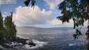 ./images/koeye/fitz-hugh/20250921/fitz-hugh20250921_103001M.jpg