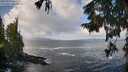 ./images/koeye/fitz-hugh/20250921/fitz-hugh20250921_103501M.jpg