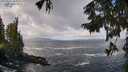 ./images/koeye/fitz-hugh/20250921/fitz-hugh20250921_104002M.jpg