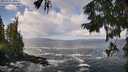 ./images/koeye/fitz-hugh/20250921/fitz-hugh20250921_104501M.jpg