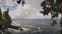 ./images/koeye/fitz-hugh/20250921/fitz-hugh20250921_110501M.jpg