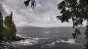 ./images/koeye/fitz-hugh/20250921/fitz-hugh20250921_113502M.jpg